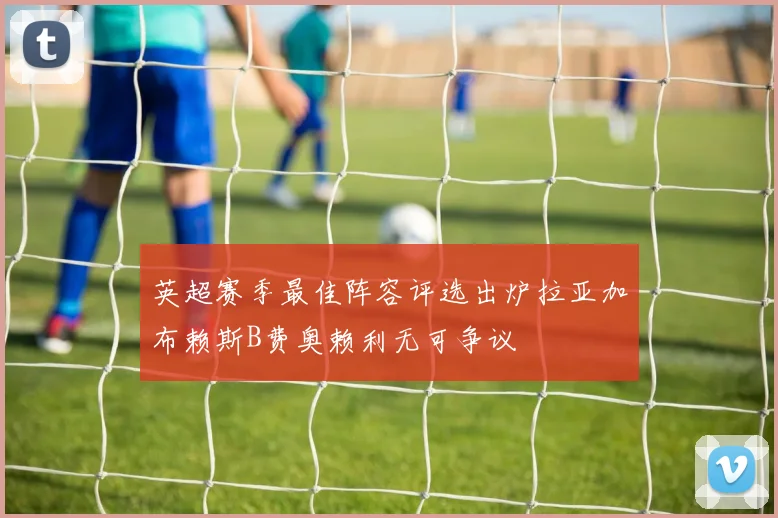英超赛季最佳阵容评选出炉拉亚加布赖斯B费奥赖利无可争议